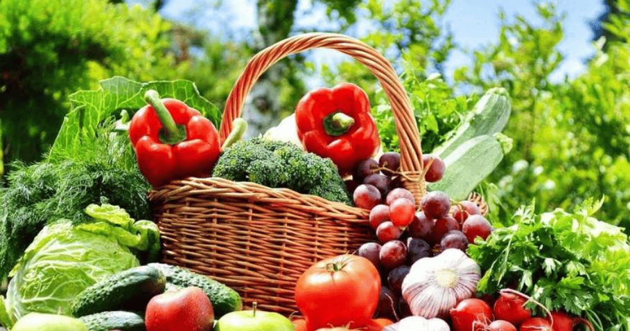 互聯(lián)網(wǎng)賦能果蔬行業(yè) 健康品質(zhì)如何重塑苗木種植新未來